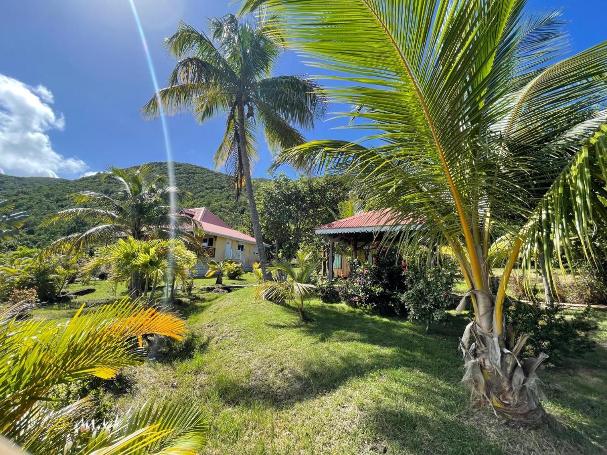 Residence Coco D'Iles, Gite Ti Bambou 下岛 外观 照片